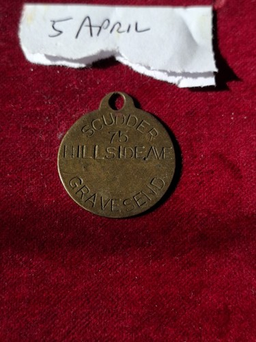 Alte hunde kennzeichen - hunde,