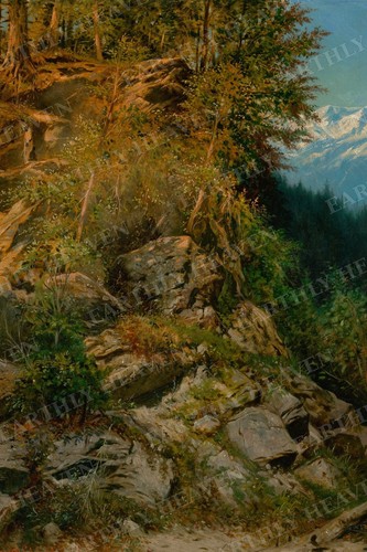 Felsenhang einer - felsenhang, in