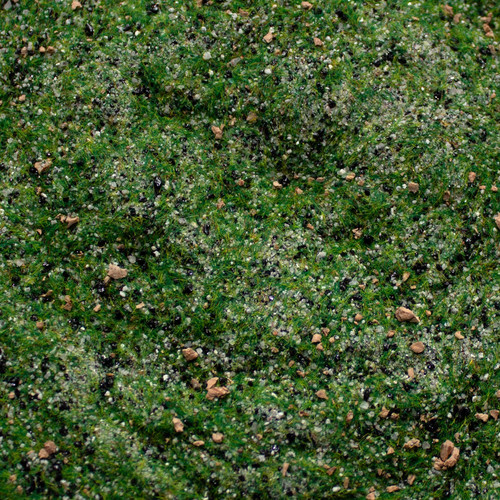 Base ready taiga hillside - taiga,