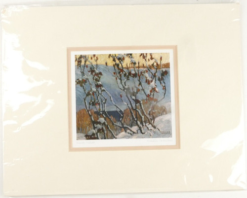 Franklin carmichael winter - franklin,