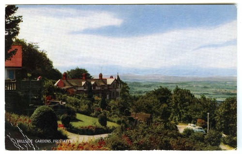 Vintage lachs postkarte ein - vintage,