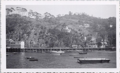 1953 vtg photo avalon harbor - avalon,